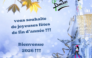 BONNES FETES DE FIN D'ANNEE