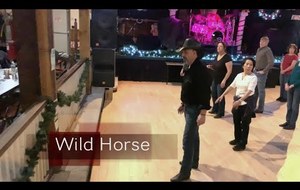 WILD HORSE du 03/02/2019